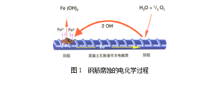 中国混凝土病害诊治研究院：沿海地区桩基础腐蚀防护与相关问题探讨